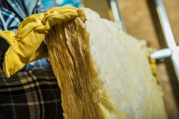 Best Wall Insulation Contractor  in Crandon, WI